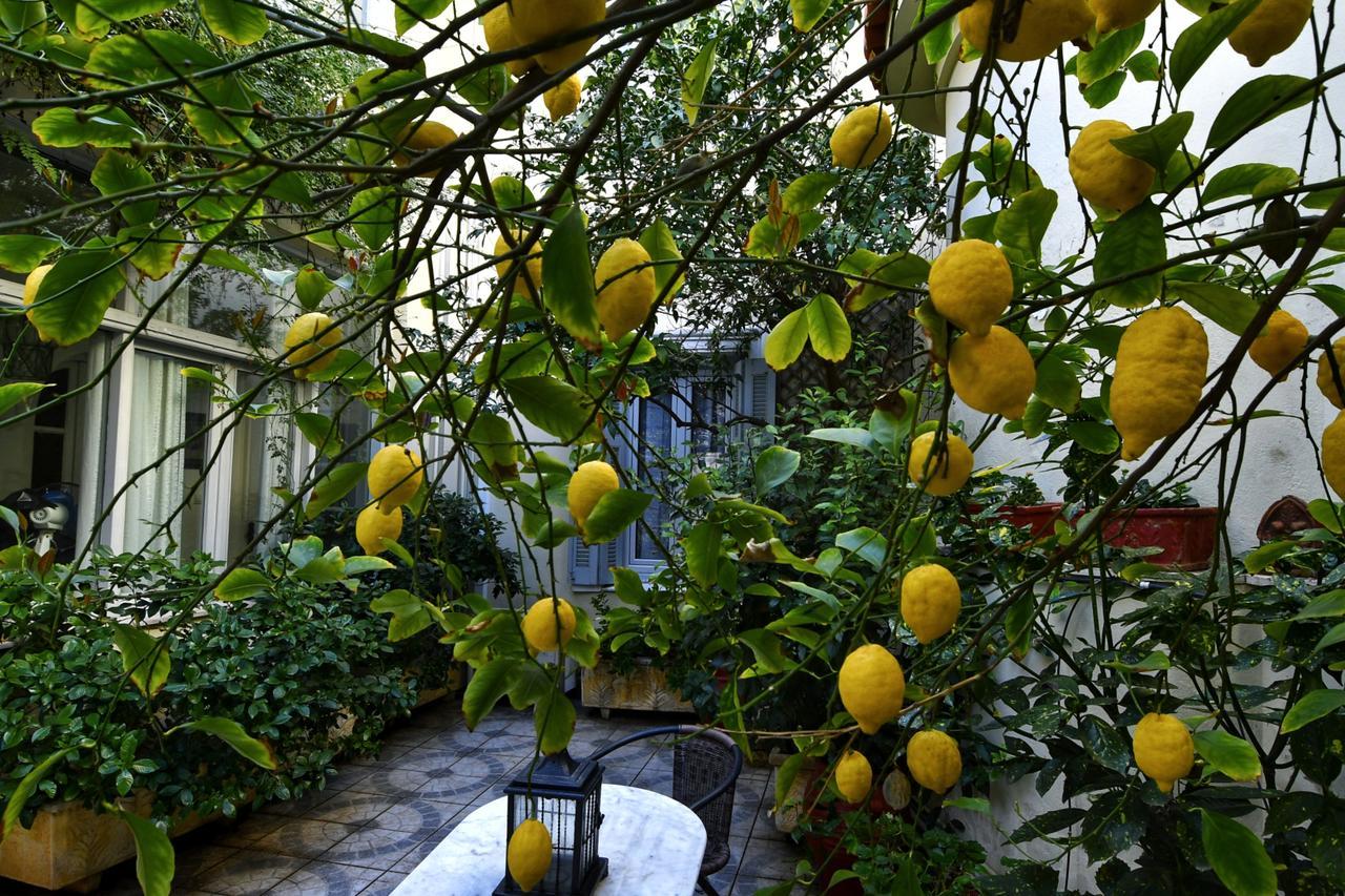 Apartamento Athens Authentic Elegance At Acropolis Exterior foto